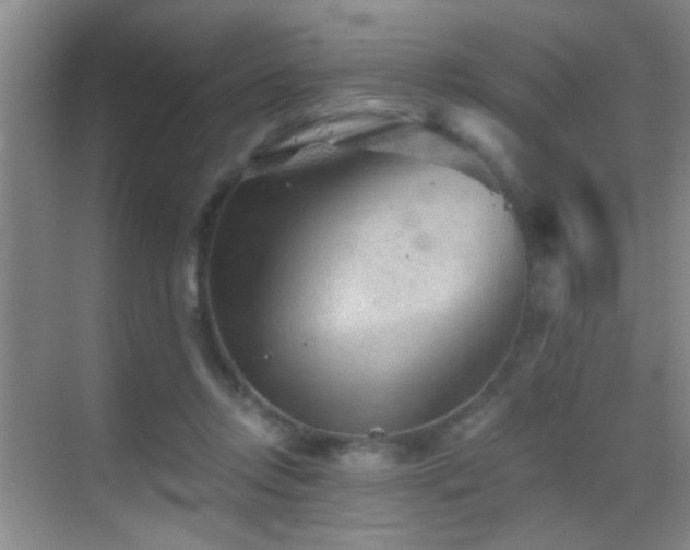 X0000069830358200605191146