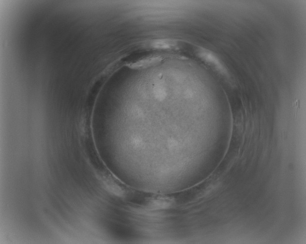 X0000069830359200605191146