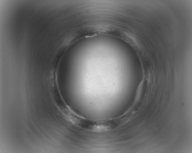 X0000069830360200605191146