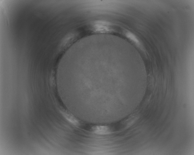 X0000069830361200605191146