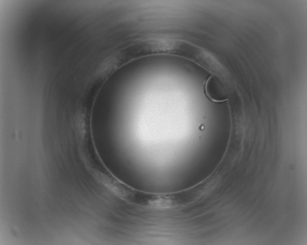 X0000069830362200605191146