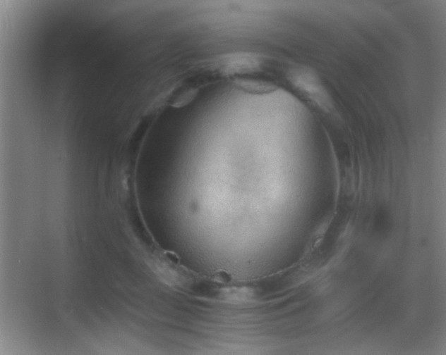 X0000069830363200605191146