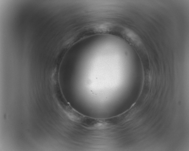 X0000069830364200605191146