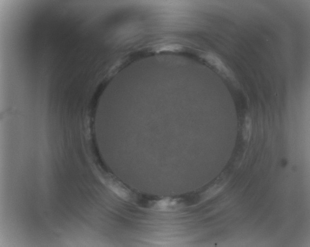 X0000069830366200605191146