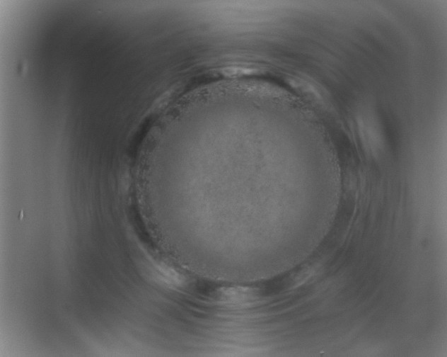 X0000069830367200605191146