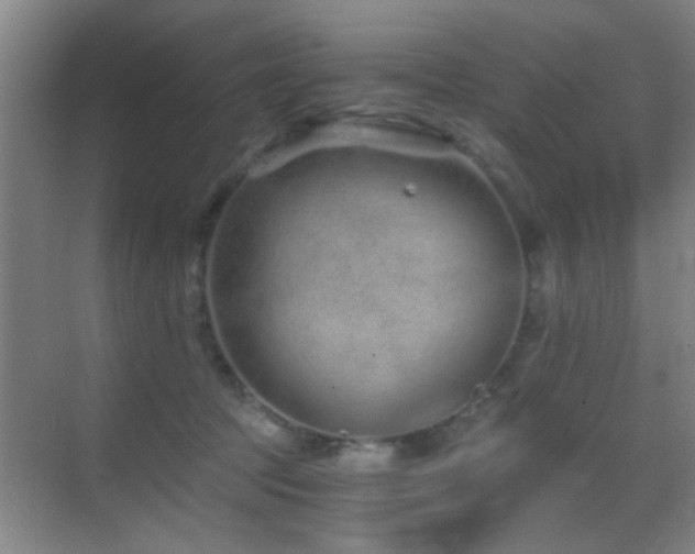 X0000069830369200605191146