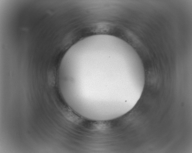 X0000069830370200605191146