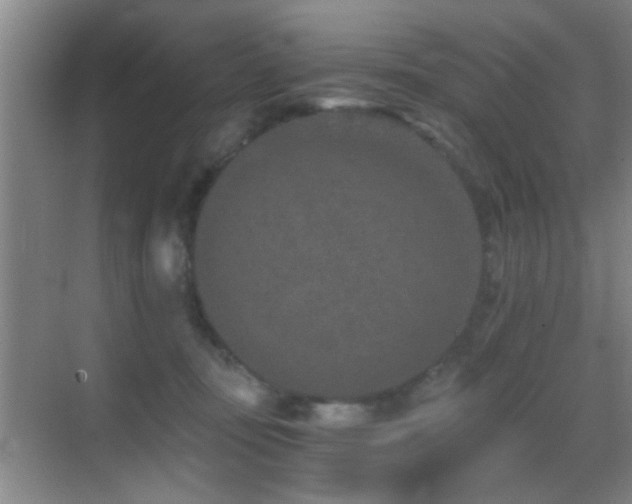 X0000069830371200605191146