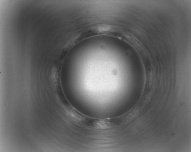 X0000069830372200605191146