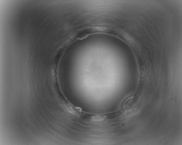 X0000069830373200605191146