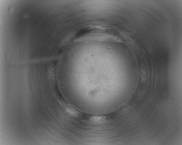 X0000069830375200605191146