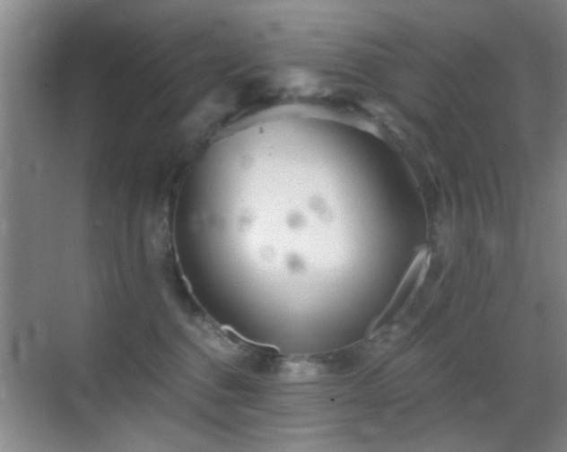 X0000069830376200605191146