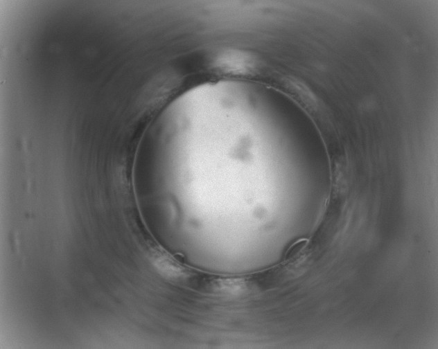 X0000069830377200605191146