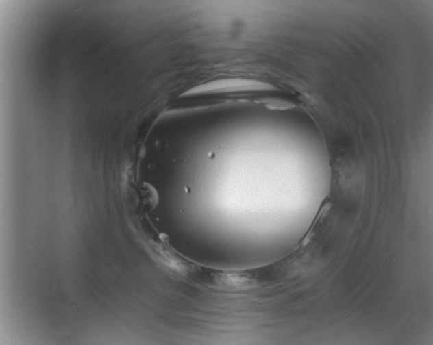 X0000069830380200605191146