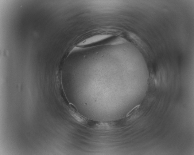 X0000069830381200605191146