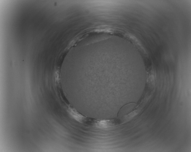 X0000069830382200605191146