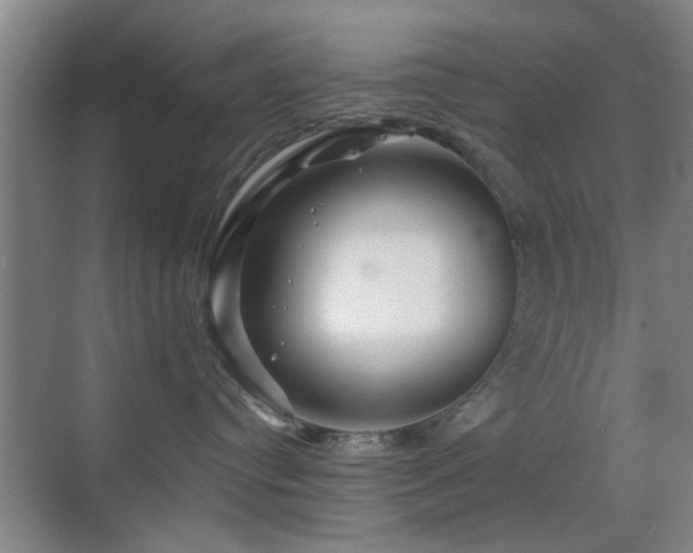 X0000069830384200605191146