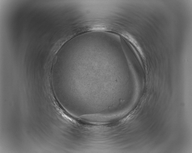 X0000069830385200605191145