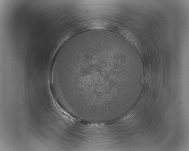 X0000069830386200605191145