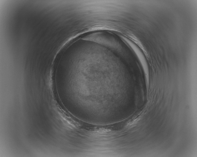 X0000069830387200605191145