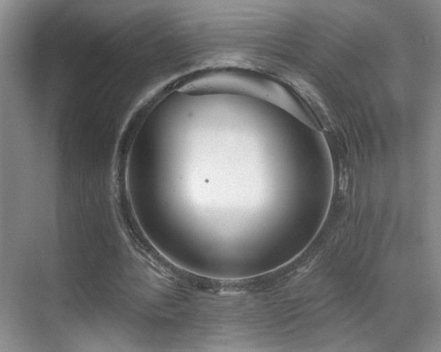 X0000069830388200605191145