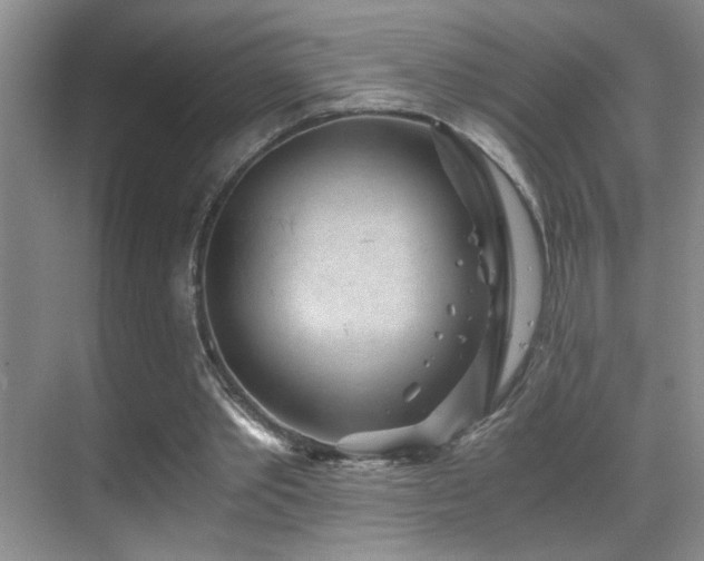 X0000069830389200605191145