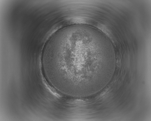 X0000069830390200605191145