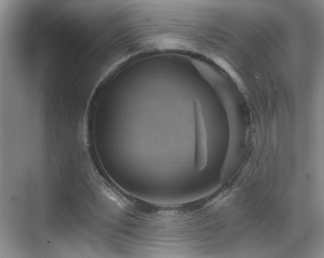 X0000069830391200605191145