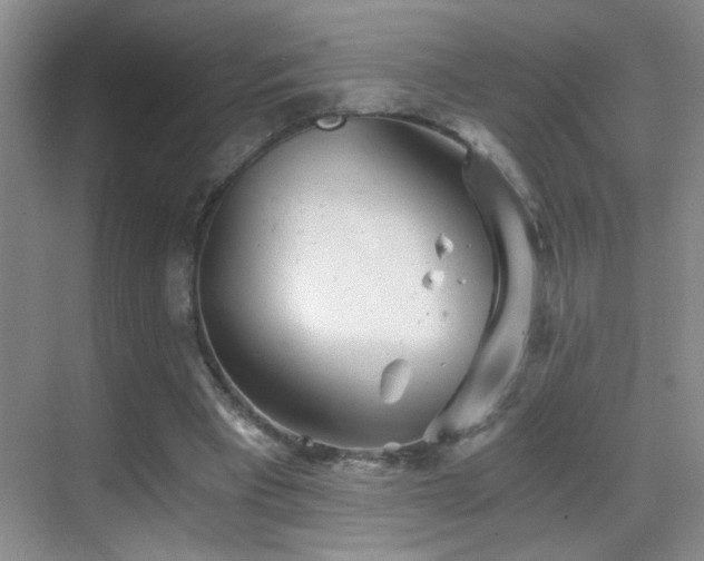 X0000069830393200605191145