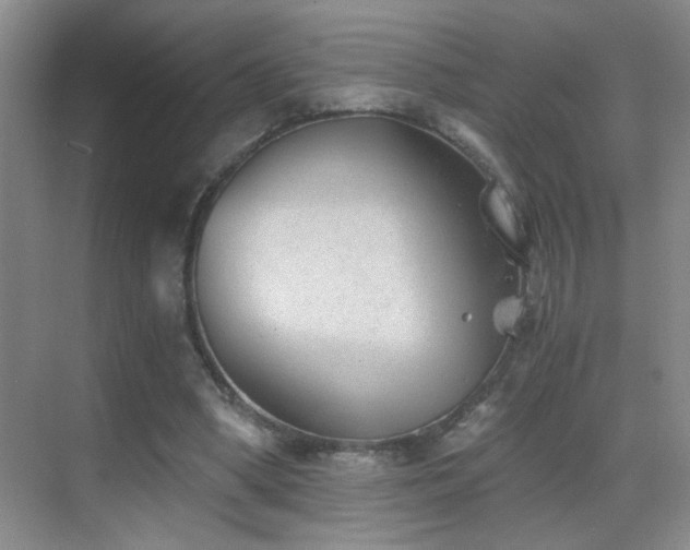 X0000069830394200605191145