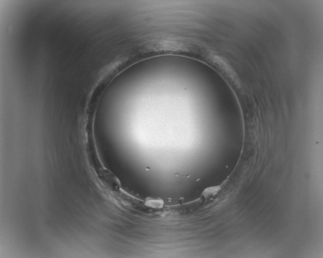 X0000069830395200605191145