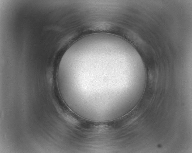 X0000069830396200605191145