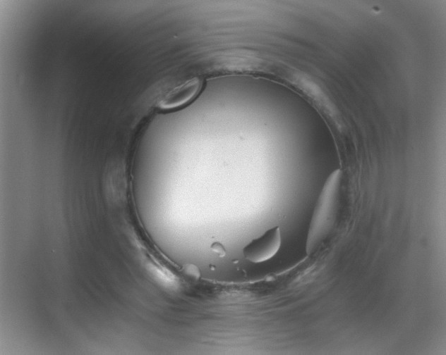 X0000069830397200605191145