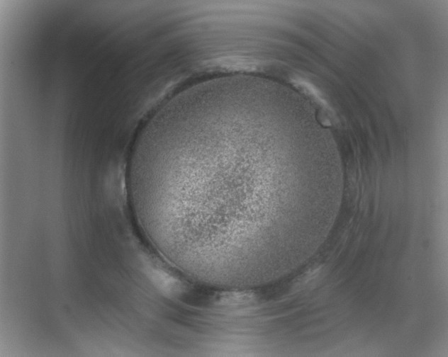 X0000069830398200605191145