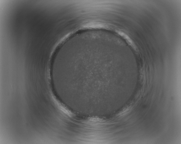 X0000069830399200605191145