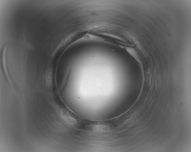 X0000069830400200605191145