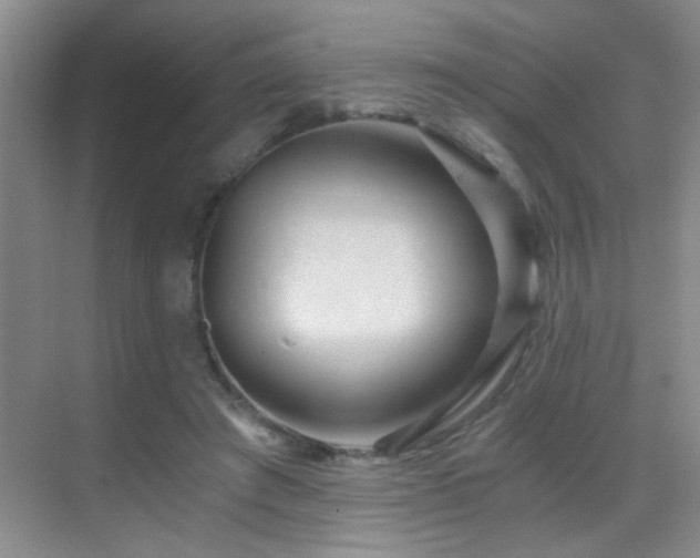 X0000069830401200605191145