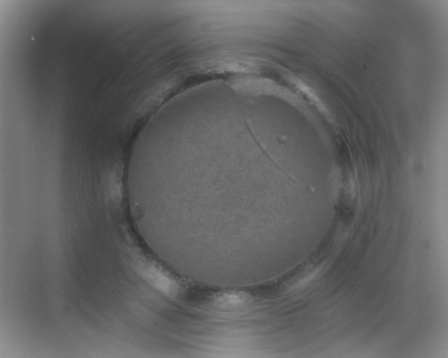 X0000069830402200605191145