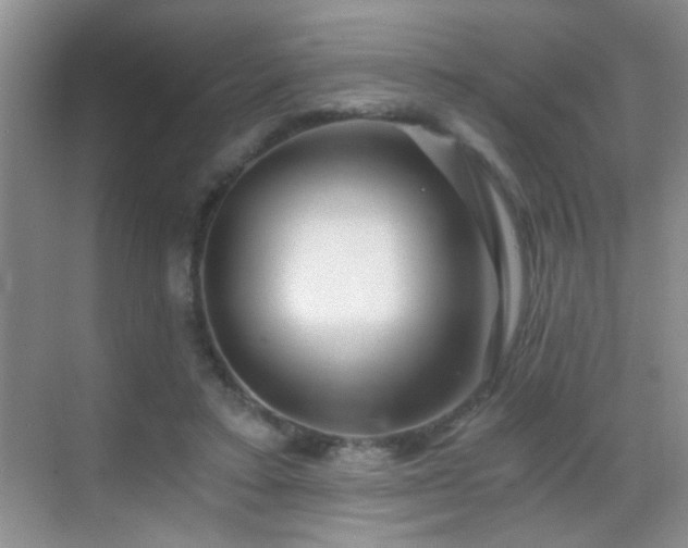 X0000069830403200605191145