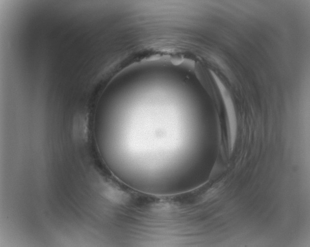 X0000069830404200605191145