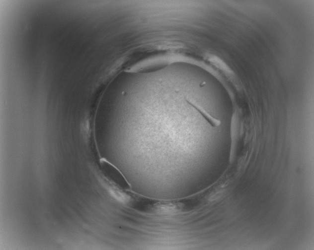 X0000069830405200605191145