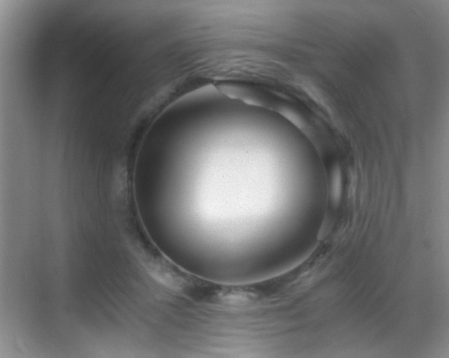 X0000069830407200605191145