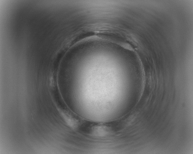 X0000069830408200605191145