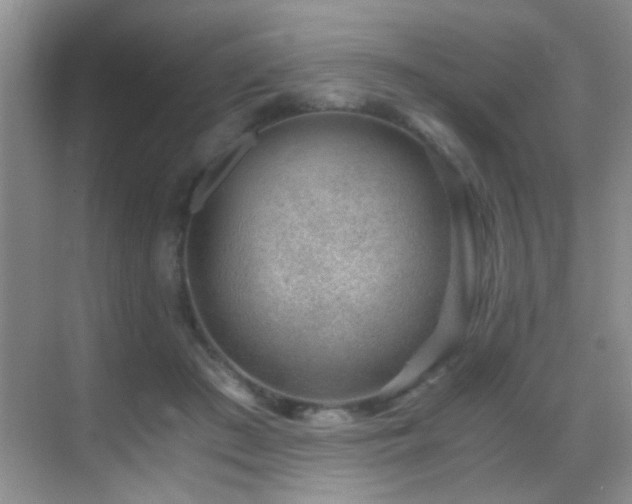 X0000069830409200605191145