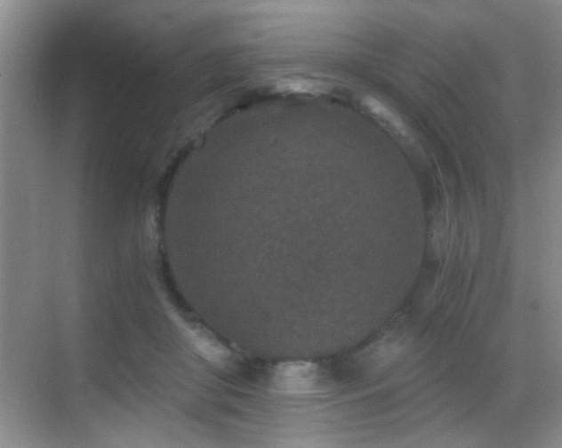 X0000069830410200605191145