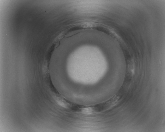 X0000069830411200605191145