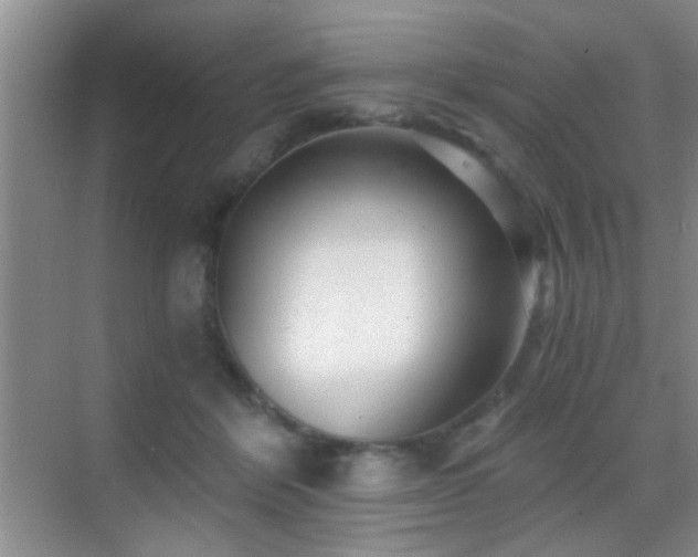 X0000069830412200605191145