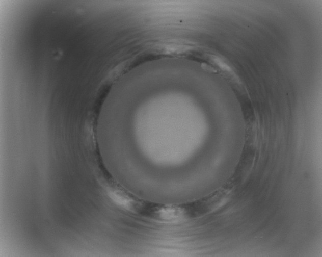 X0000069830415200605191145