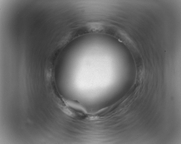 X0000069830417200605191145