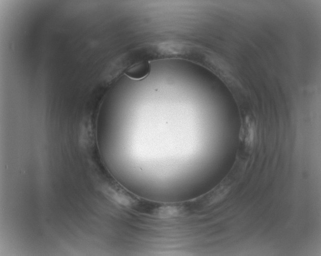 X0000069830418200605191145